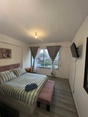 departamento estudio remodelado en edificio antiguo barrio exclusivo